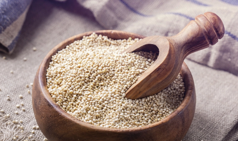 藜麥蛋白質含量