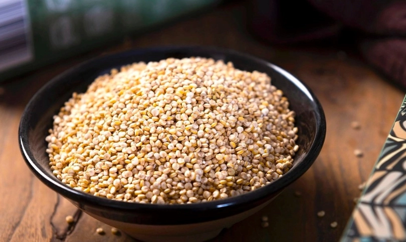 藜麥蛋白質含量