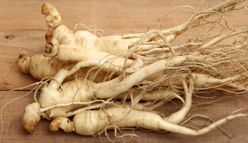 人參注意事項 人參注意事項