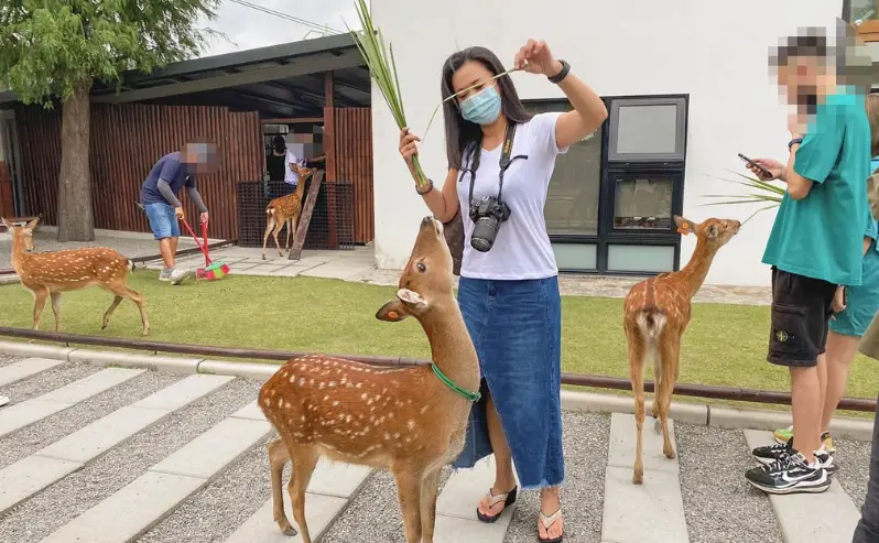 宜蘭民宿包棟推薦 宜蘭民宿包棟推薦