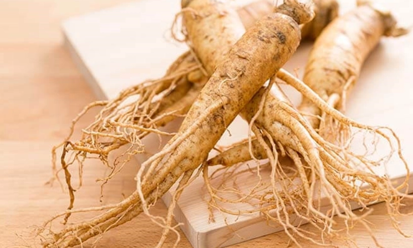 人參食用禁忌 人參食用禁忌