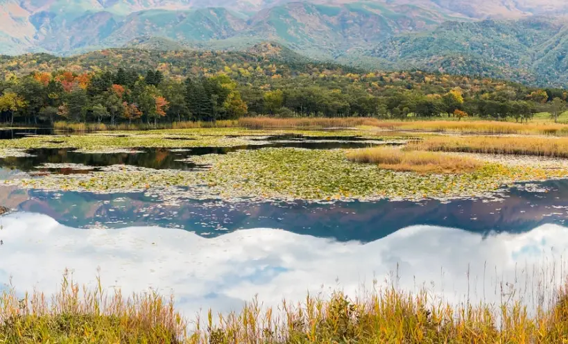 北海道道東旅遊