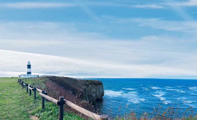 道東自由行規劃