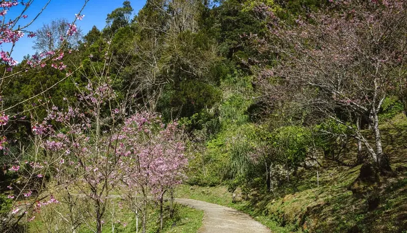 桃園拍照秘境全攻略：隱藏景點與拍攝技巧一次掌握