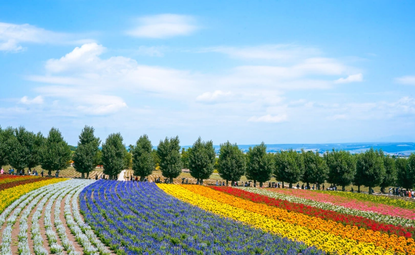 北海道自由行費用