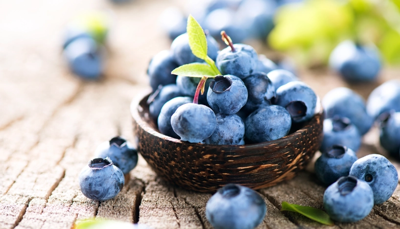 中醫養肝 中醫養肝