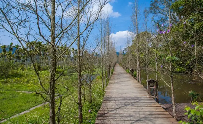 南投景點推薦 南投景點推薦