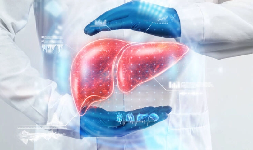 脂肪肝 飲食 脂肪肝 飲食