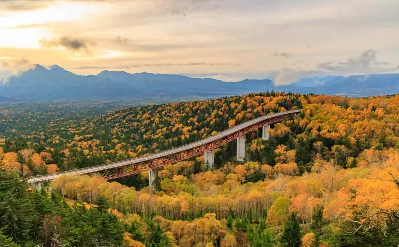 北海道10天行程