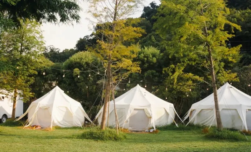 苗栗露營區寵物友善