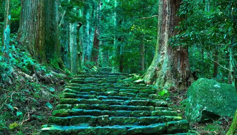 和歌山景點推薦