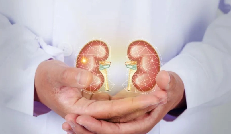 腎臟病蛋白質攝取