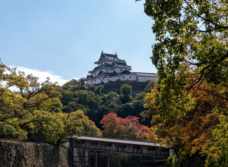 和歌山城楓葉時間