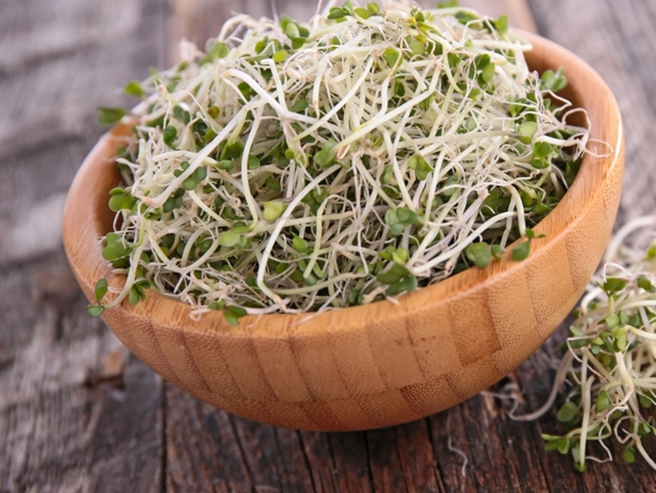 青花苗營養價值