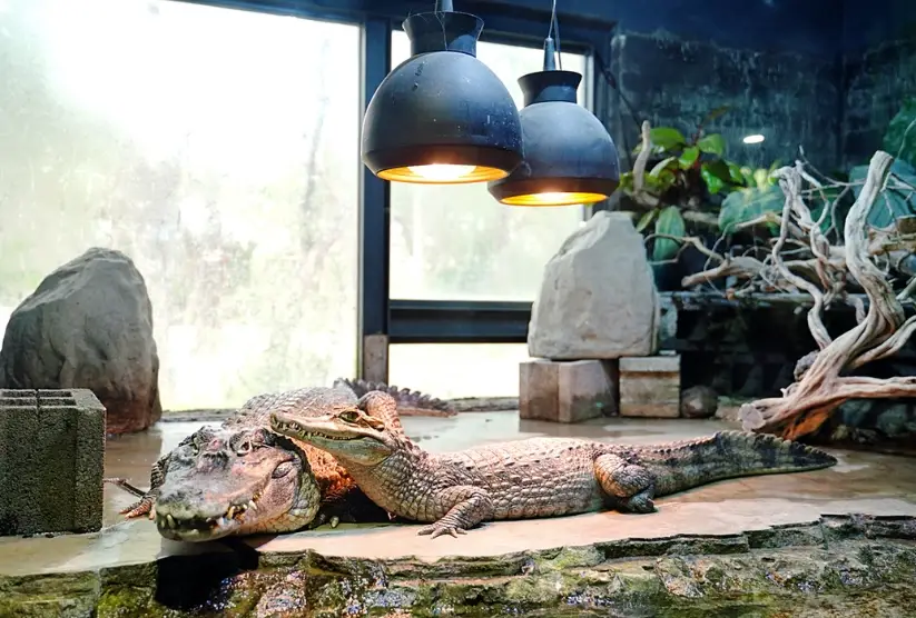 新竹親子室內遊樂 新竹親子室內遊樂