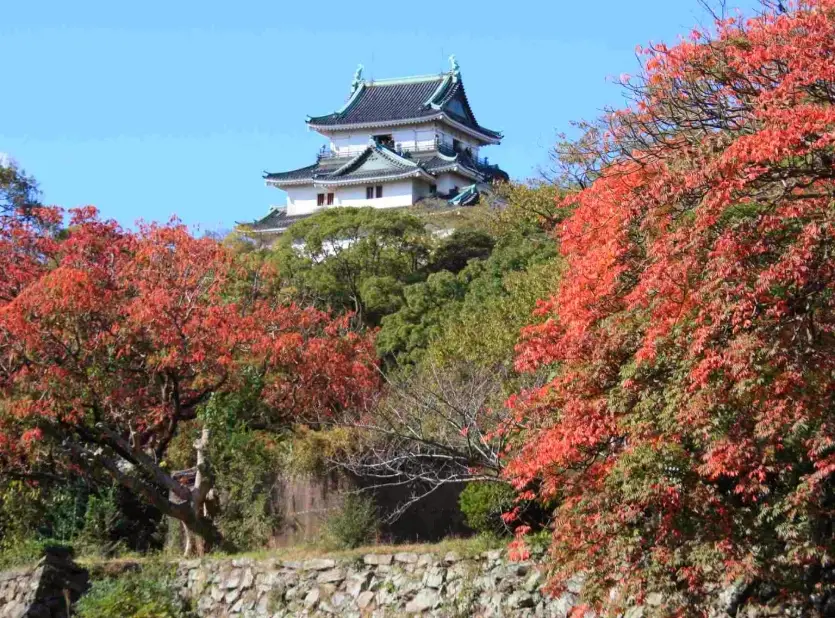 和歌山城楓葉時間