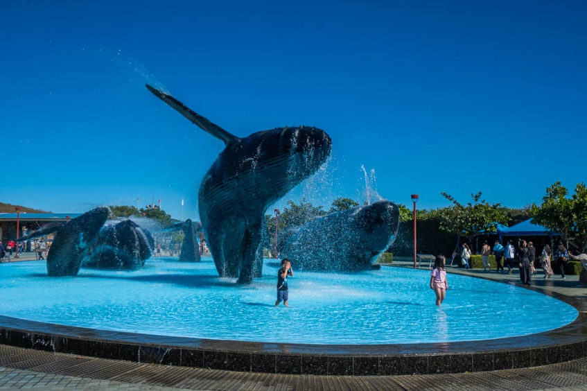屏東海生館 行程