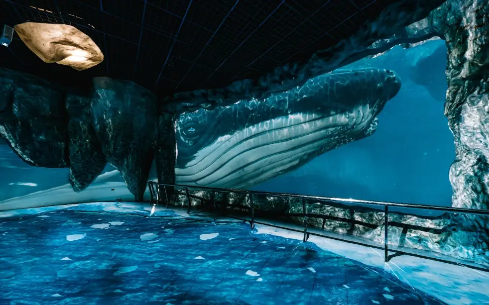國立海洋生物博物館 攻略