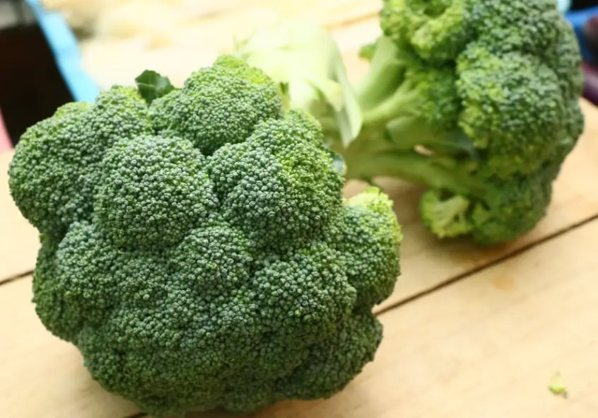 青花菜蛋白質怎麼吃