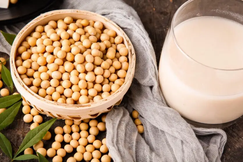 植物蛋白粉好處