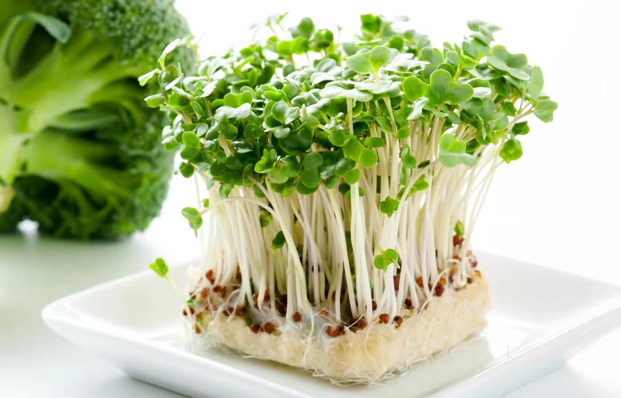 青花椰苗怎麼吃