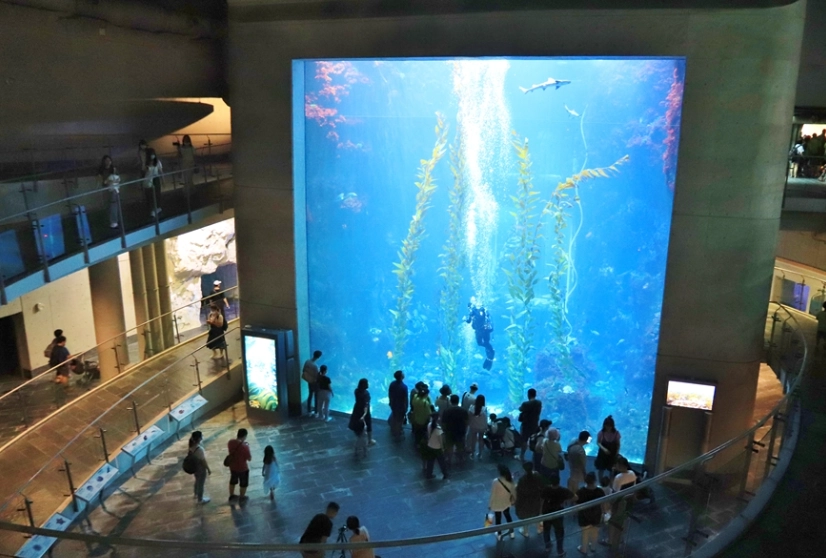 國立海洋生物博物館 攻略