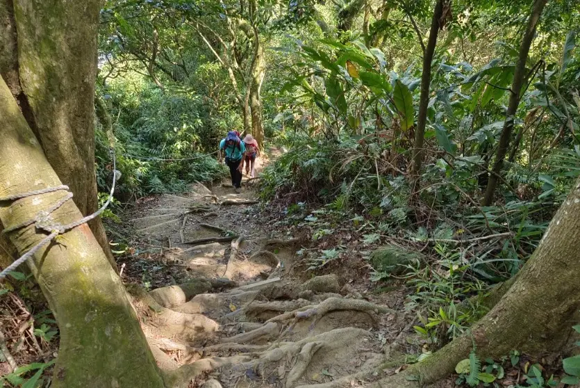 桃園爬山步道