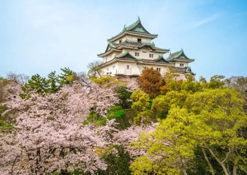 和歌山景點推薦