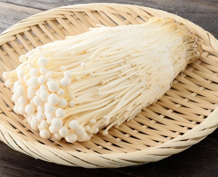 金針菇營養價值