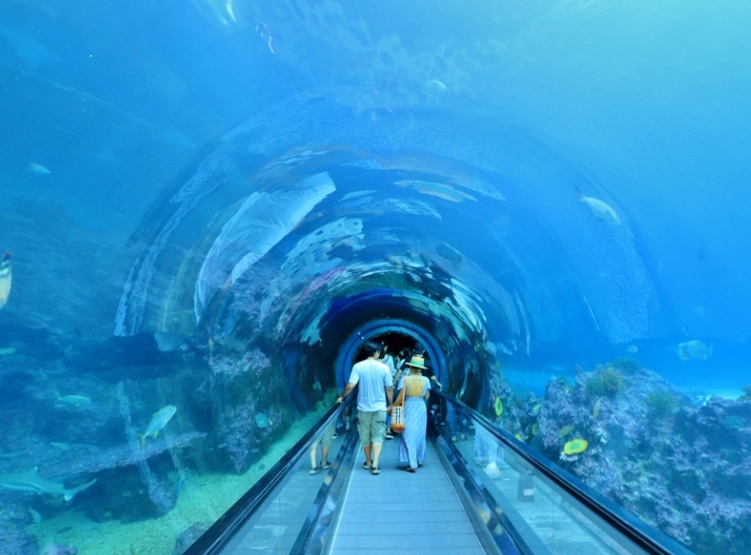 海生館夜宿體驗