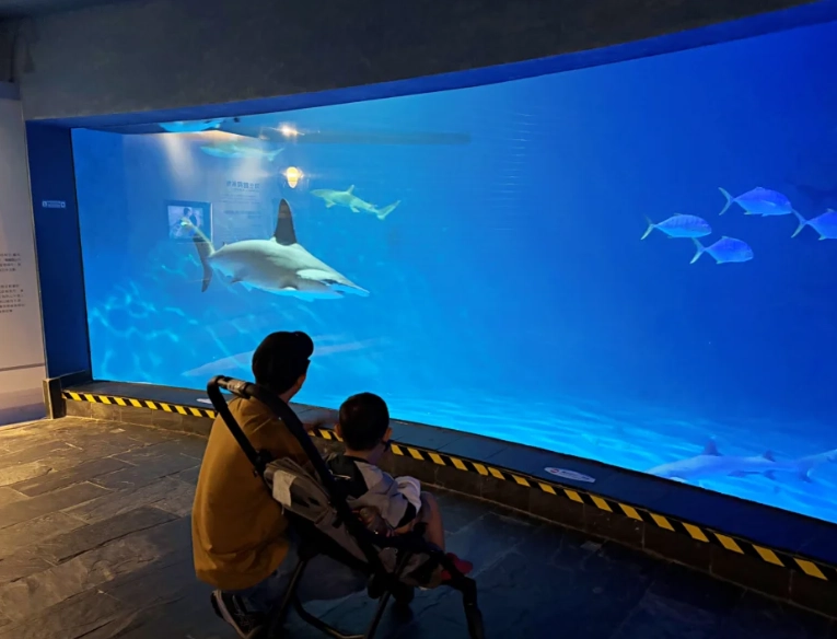 海生館夜宿體驗