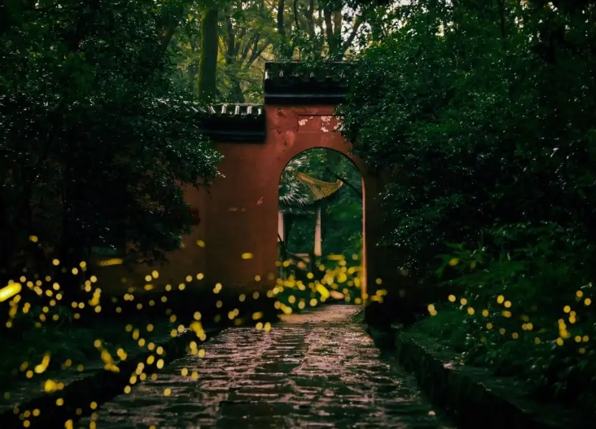 台灣螢火蟲季節