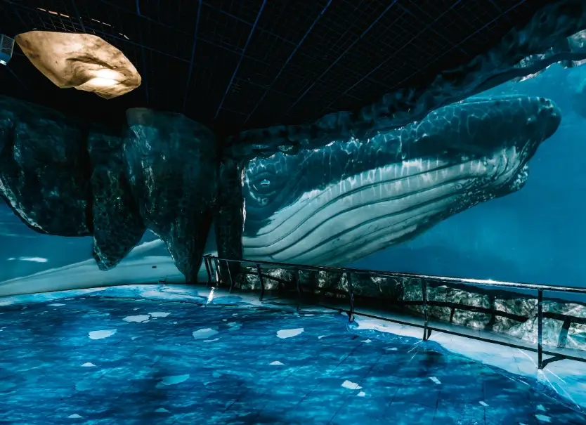 海生館夜宿體驗