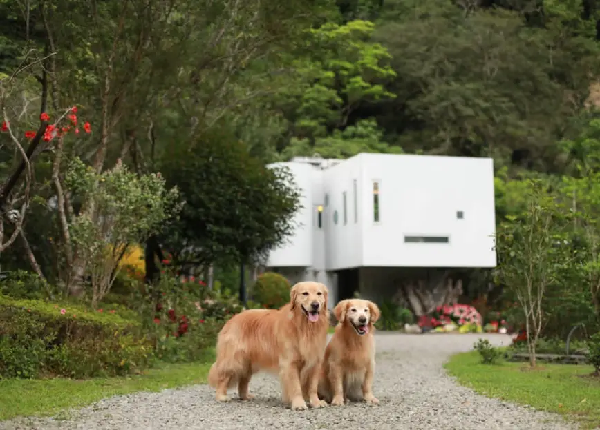 日月潭帶寵物住宿