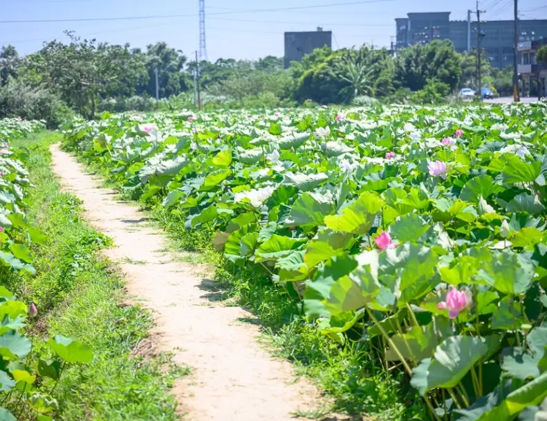輪椅友善景點 北部
