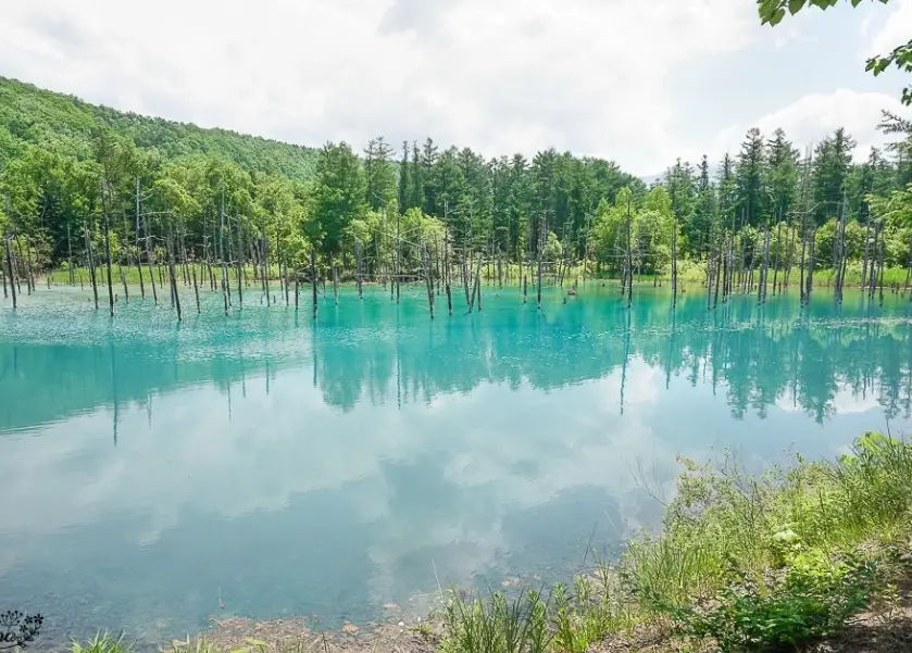 北海道10天行程