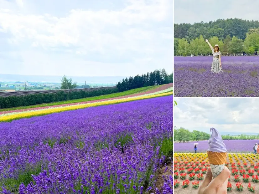 北海道自駕遊攻略