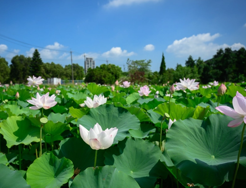 親子無障礙景點