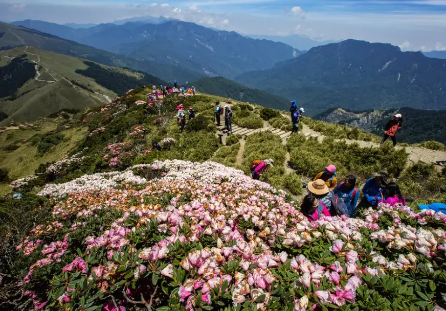 合歡山登山許可