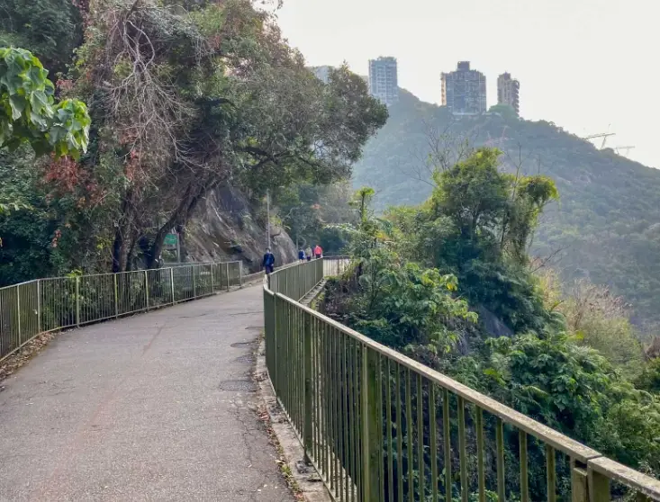 灣仔行上山頂