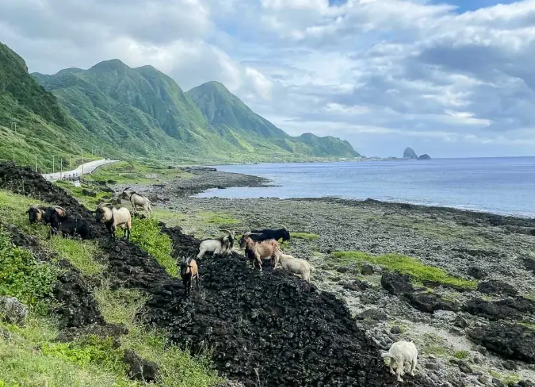 蘭嶼旅遊