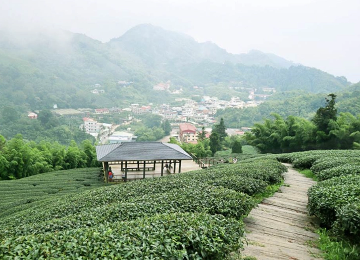 彰化私房景點