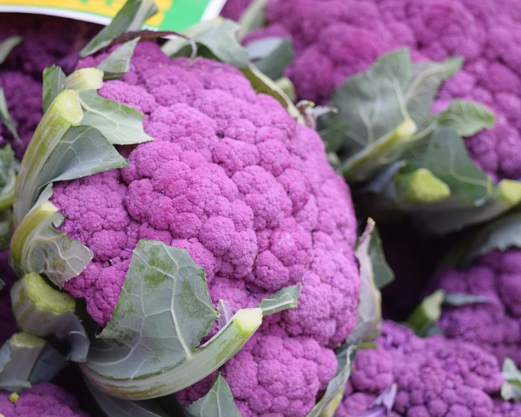 紫色花椰菜 食譜 紫色花椰菜 食譜