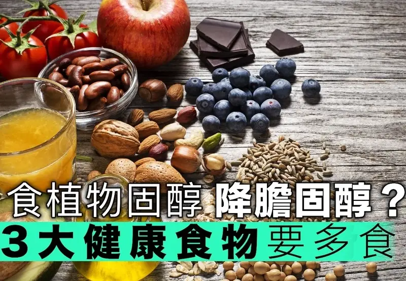 降膽固醇食物 降膽固醇食物