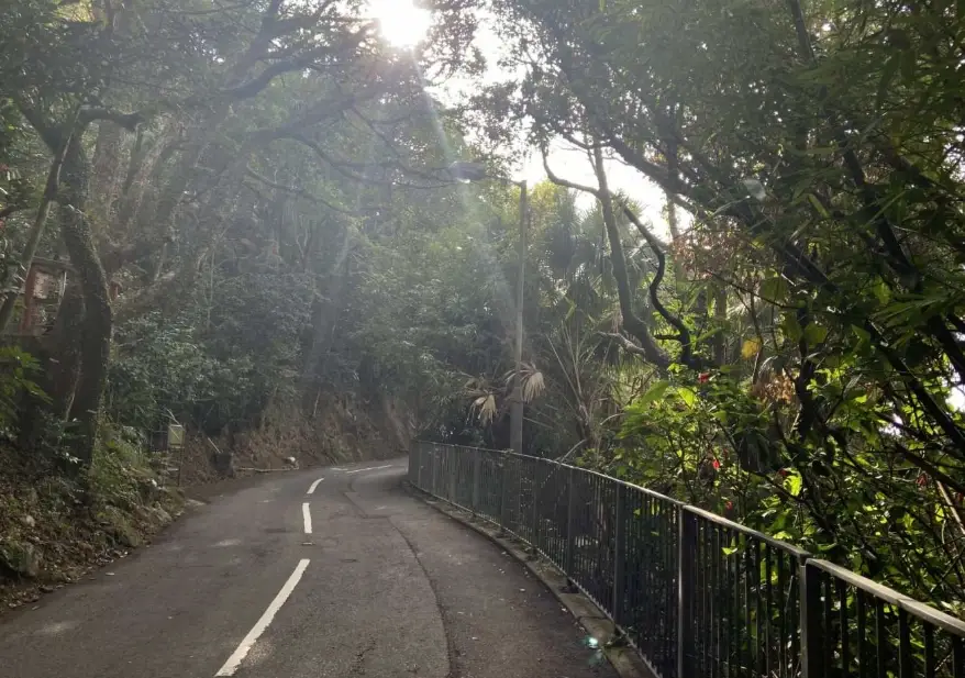 奇力山登山 奇力山登山