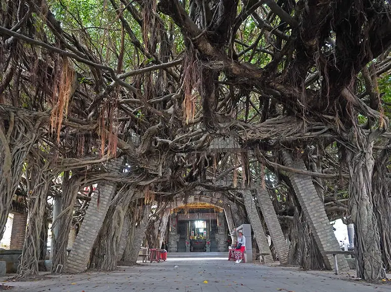 澎湖輪椅旅遊 澎湖輪椅旅遊