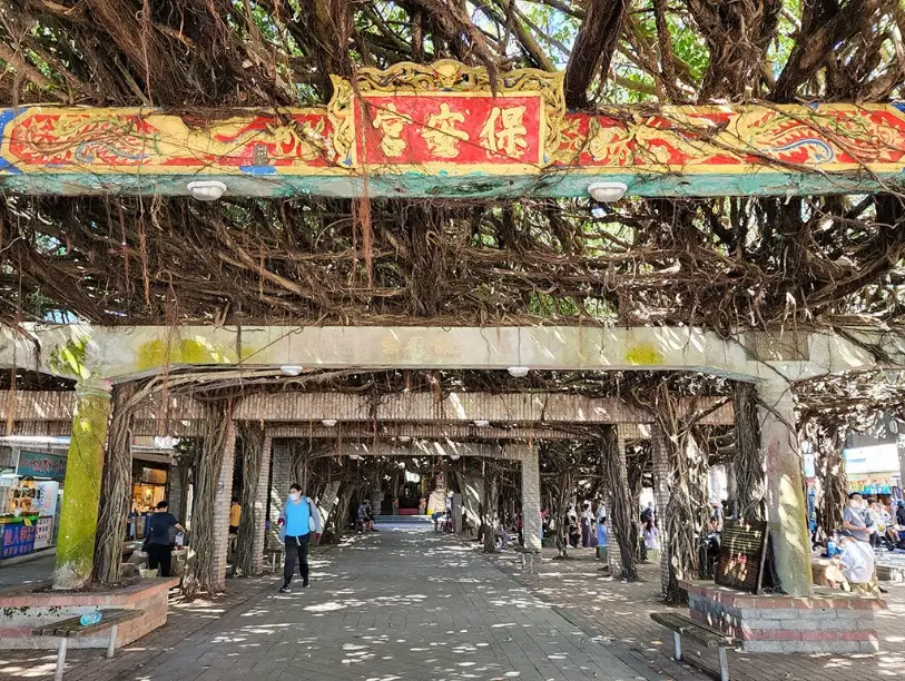 澎湖銀髮族旅遊 澎湖銀髮族旅遊