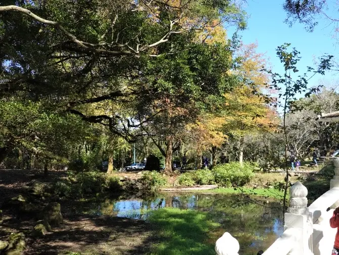 石門水庫免費景點