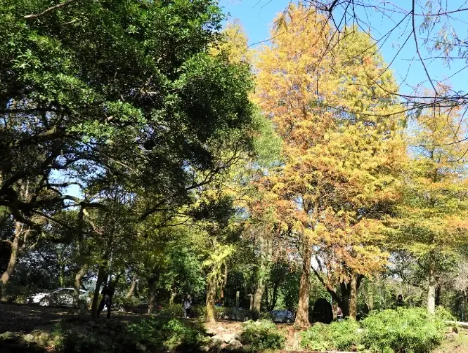 石門水庫一日遊