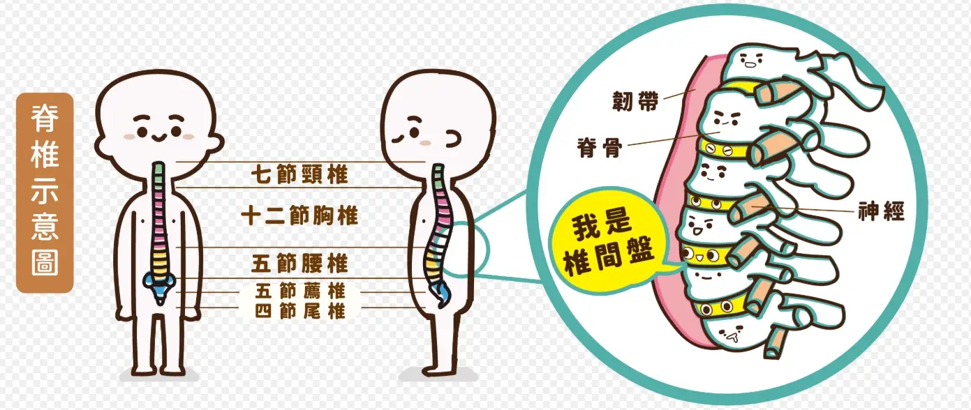 下背痛睡姿